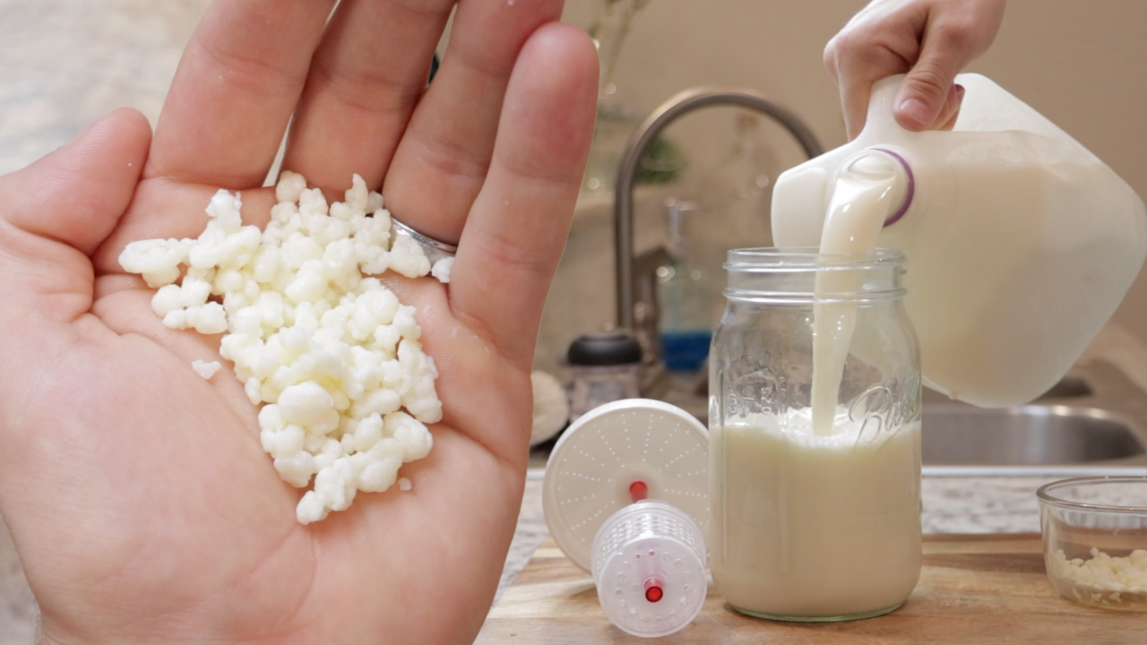 Rebuild Your Gut Microbiome With Kefir and Kefir Alternatives